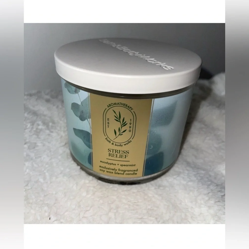 NWT Bath & Body Works Eucalyptus Spearmint Aromatherapy Candle